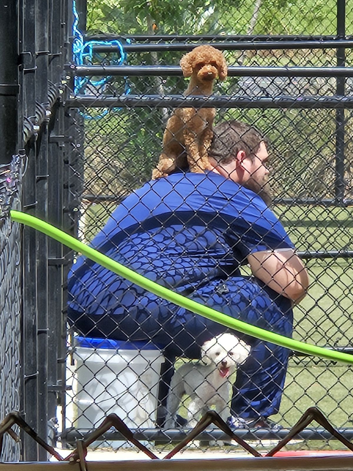 Boarding at Carson Animal