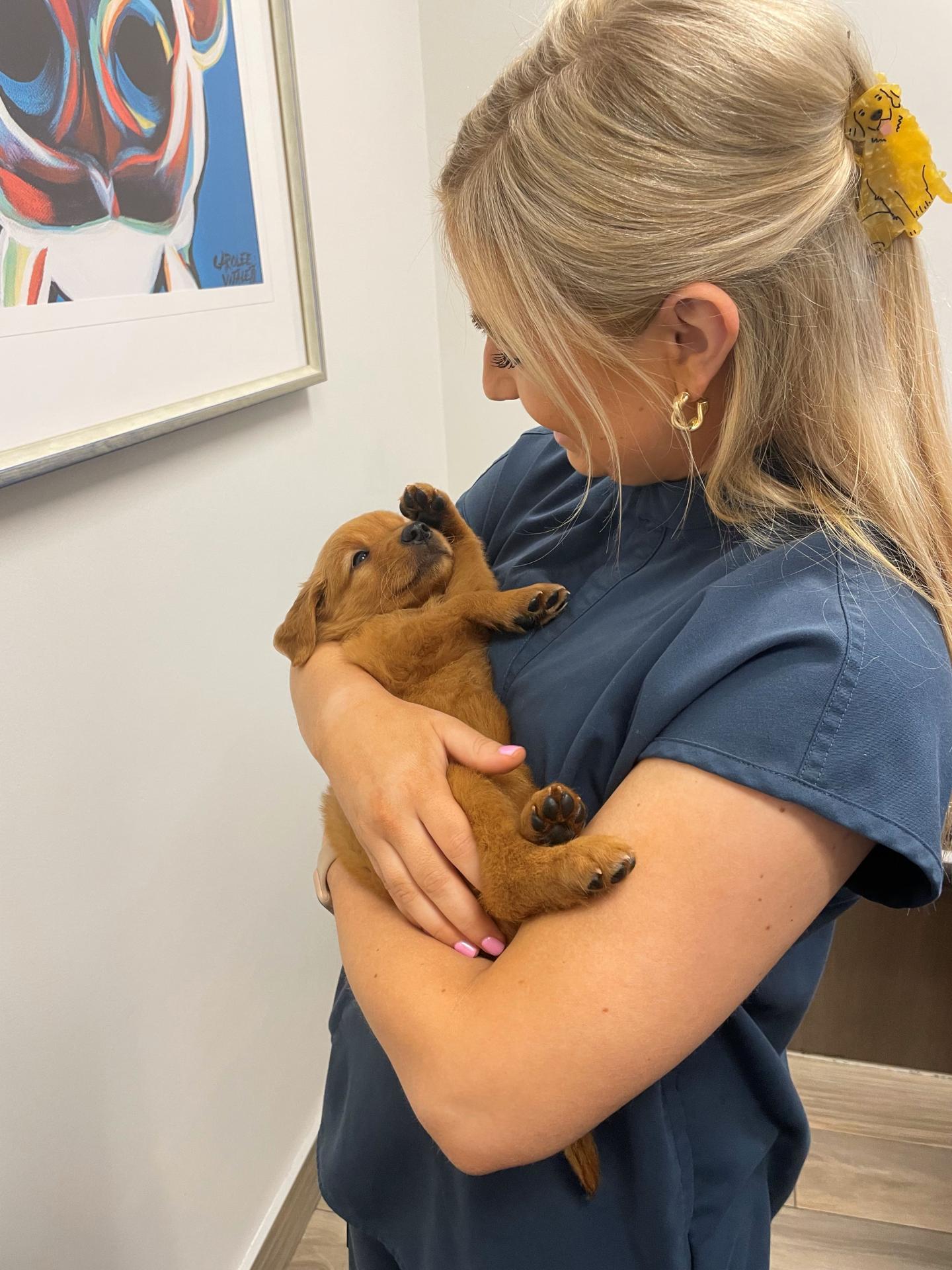 DVM holding a puppy