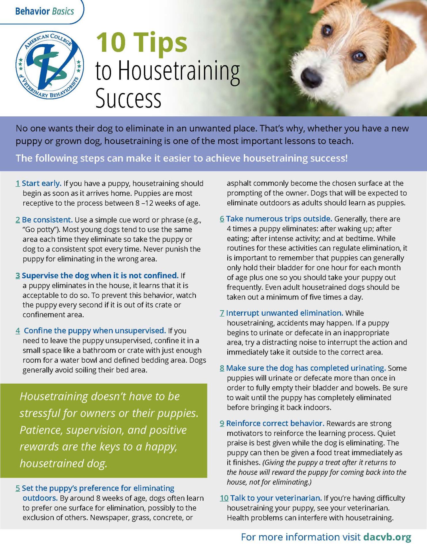 Housetraining