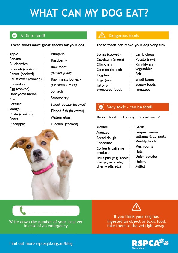 Safe foods for dogs